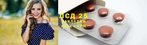скорость Липки