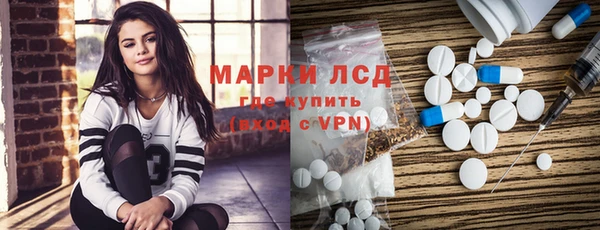 винт Лагань