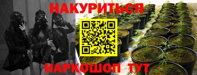 тгк Заводоуковск