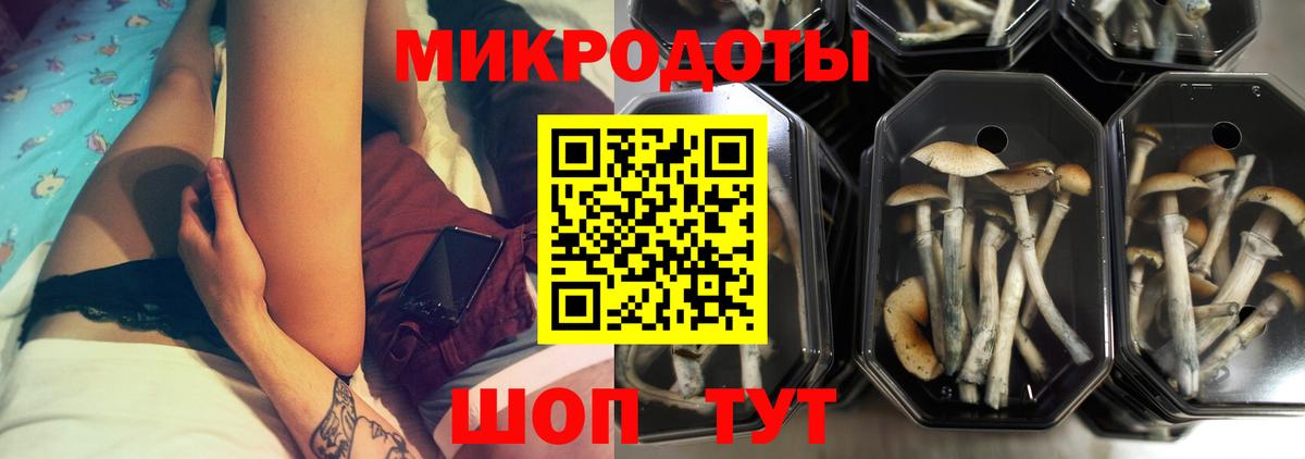 Галлюциногенные грибы Psilocybine cubensis  Галлюциногенные грибы Psilocybe  Вход с VPN  Мелеуз 